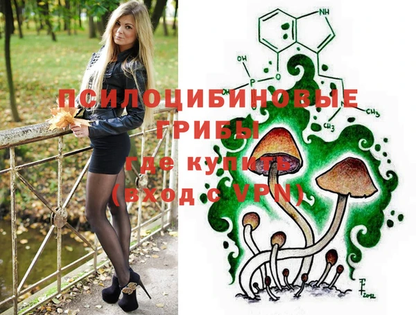 крисы Мегион