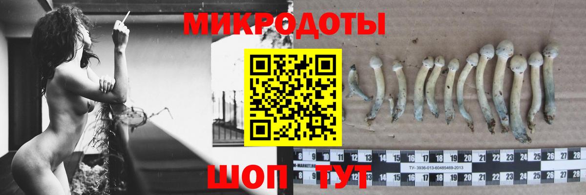 Псилоцибиновые грибы ЛСД  Вход с VPN  Шумерля  Псилоцибиновые грибы ЛСД 